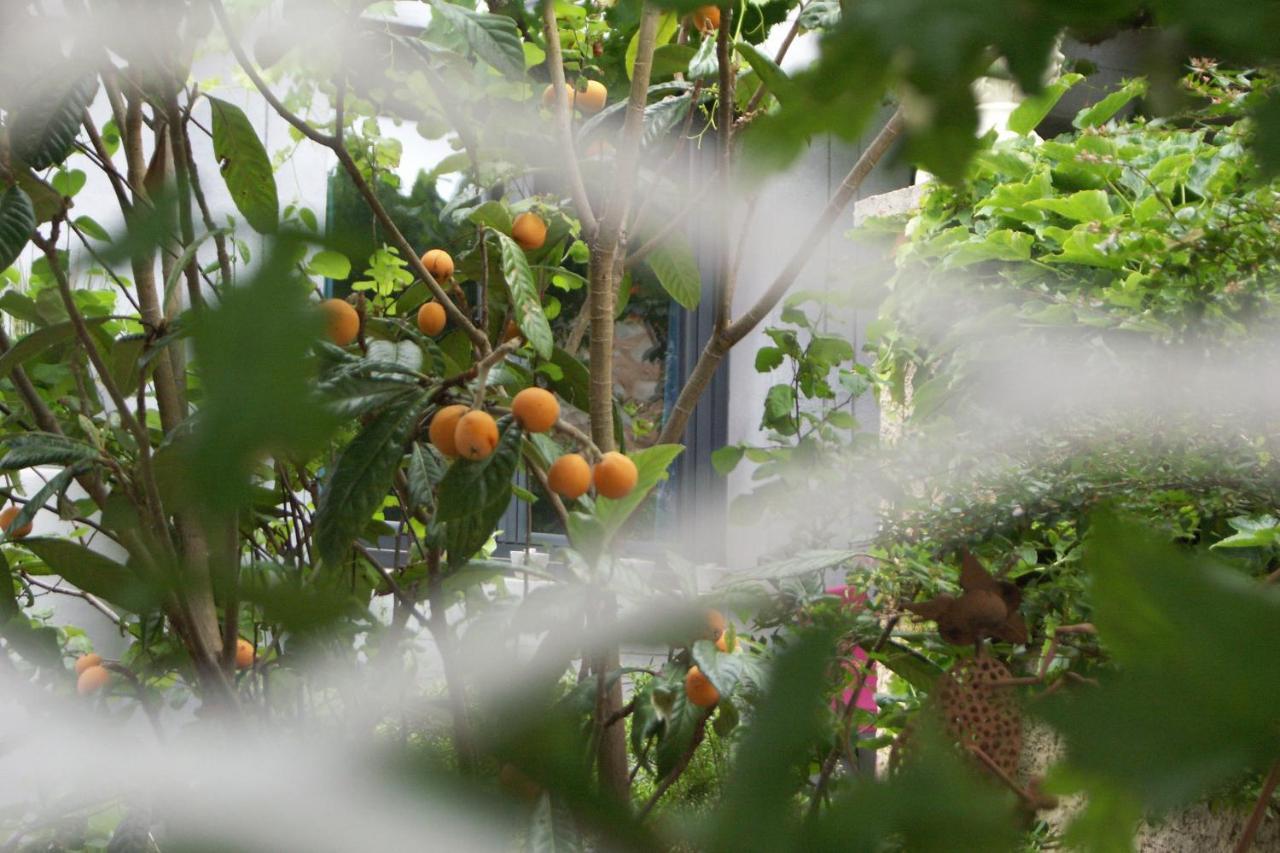 Maison D'Hotes Cote Cour Rasteau エクステリア 写真